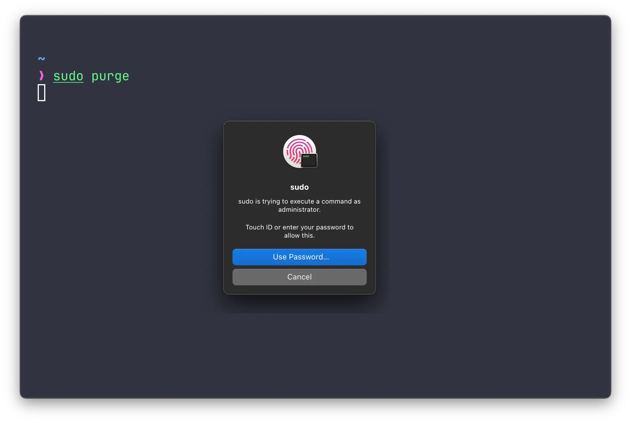 enable Touch ID for sudo